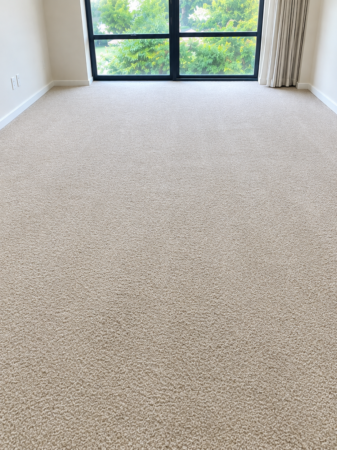 Before and after carpet cleaning